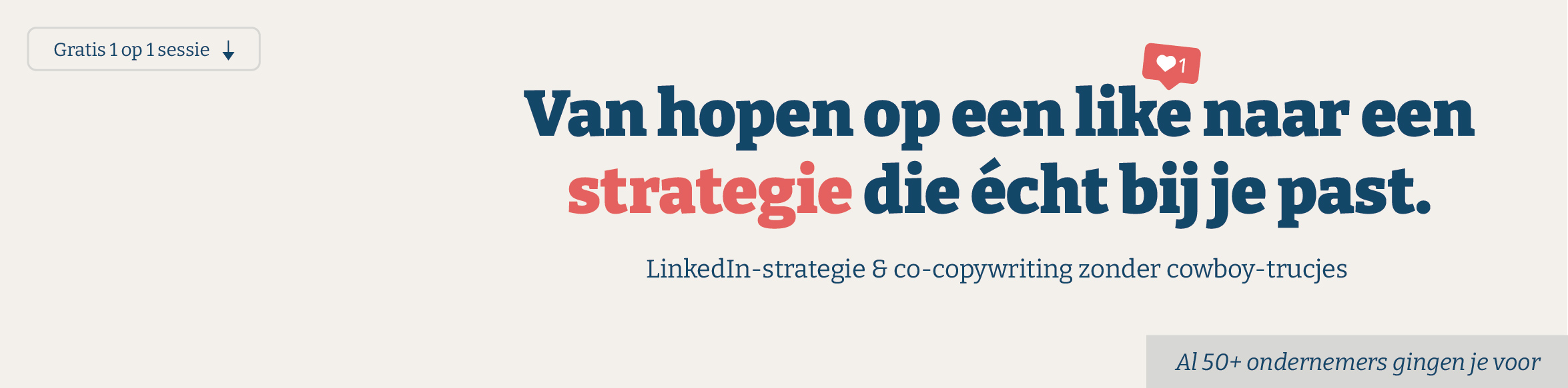 Banner-linkedin-ontwerp-hester-50-01